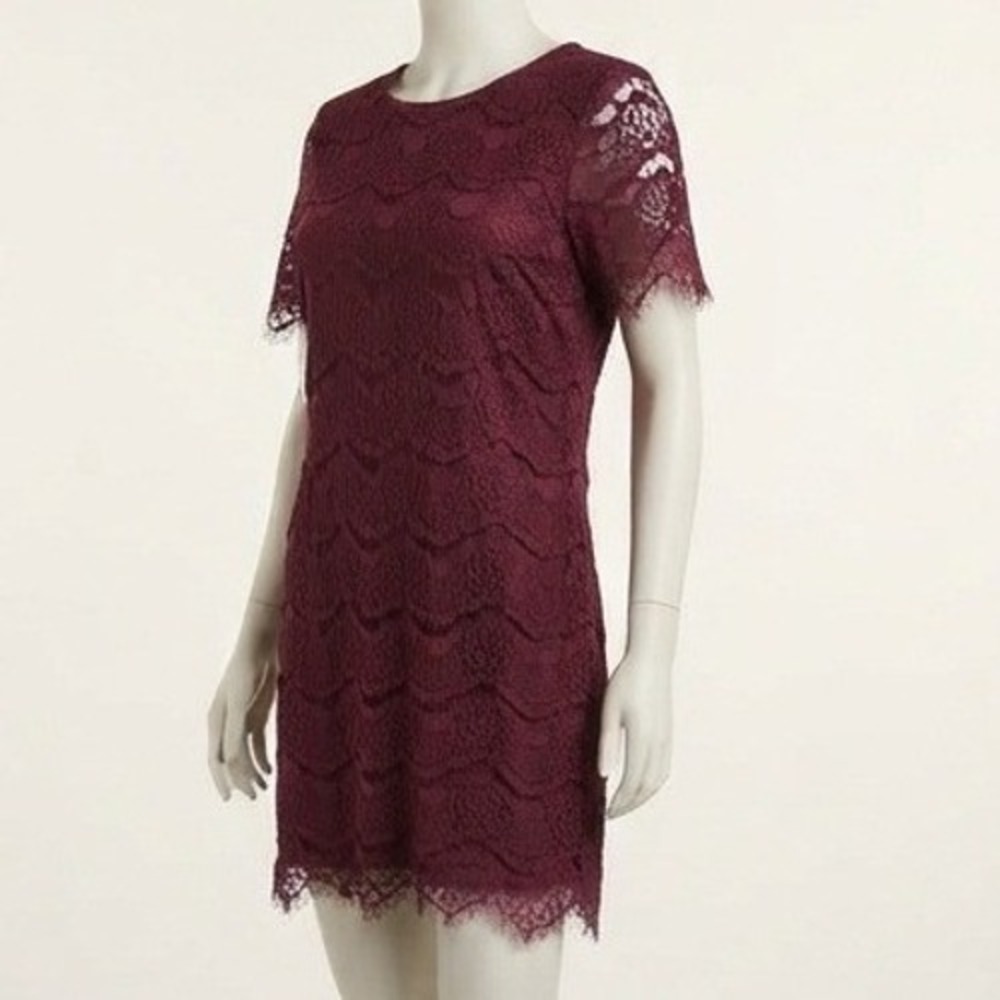 Lulus Take Me to Brunch Burgundy Lace Shift Dress Wine Red size M NWT